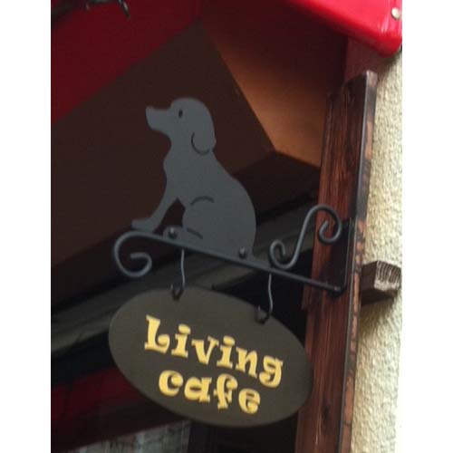 �Ŕ� �J�b�e�B���O�V�[�g