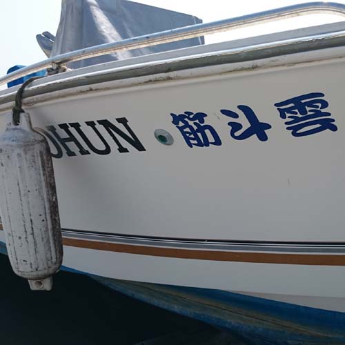 �D�� �J�b�e�B���O�V�[�g